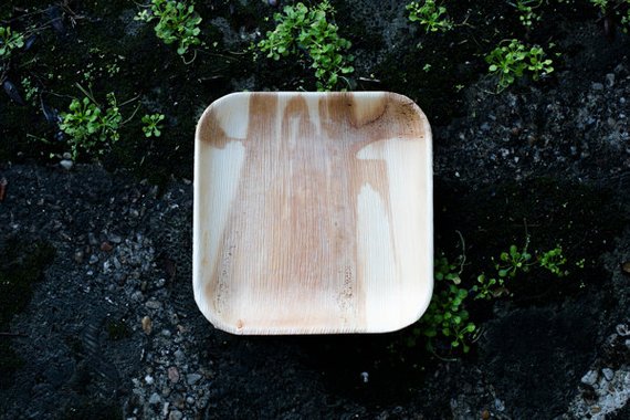 Palm leaf plate resting on dark mossy stone, showing its pale grain